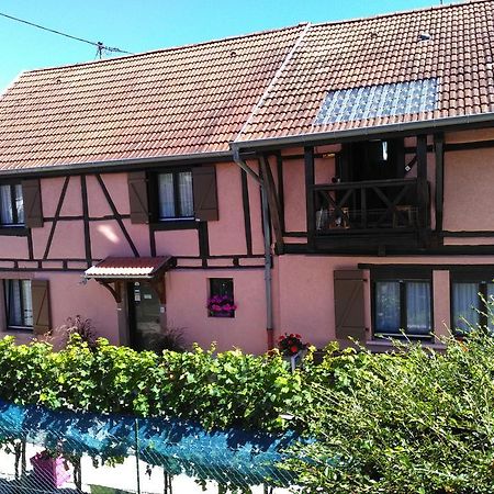 Gites & Camping On The Route Des Vins Bergheim Exteriör bild