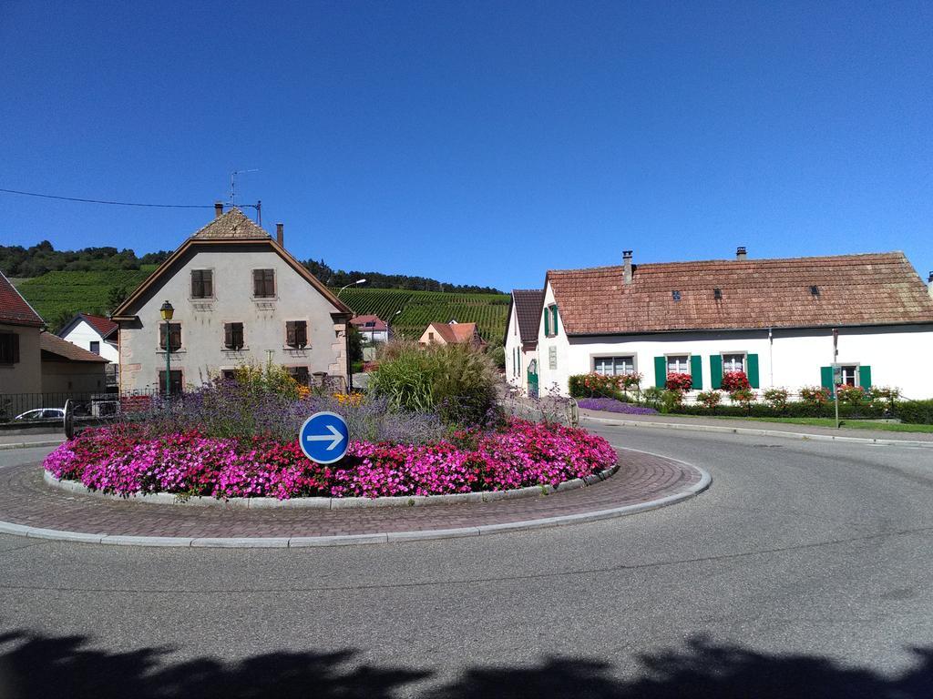 Gites & Camping On The Route Des Vins Bergheim Exteriör bild