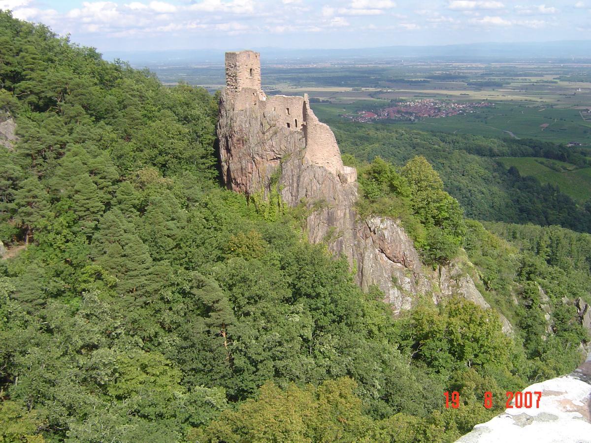 Gites & Camping On The Route Des Vins Bergheim Exteriör bild