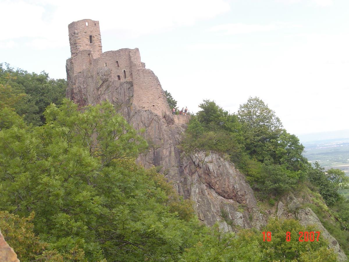 Gites & Camping On The Route Des Vins Bergheim Exteriör bild
