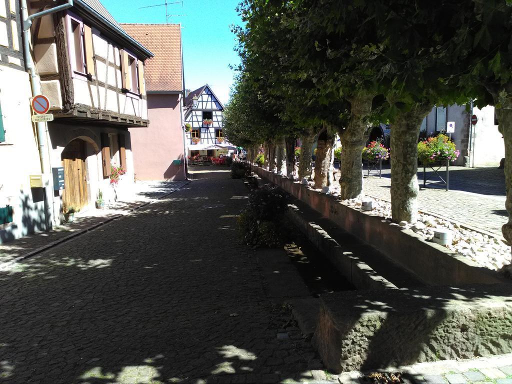 Gites & Camping On The Route Des Vins Bergheim Exteriör bild