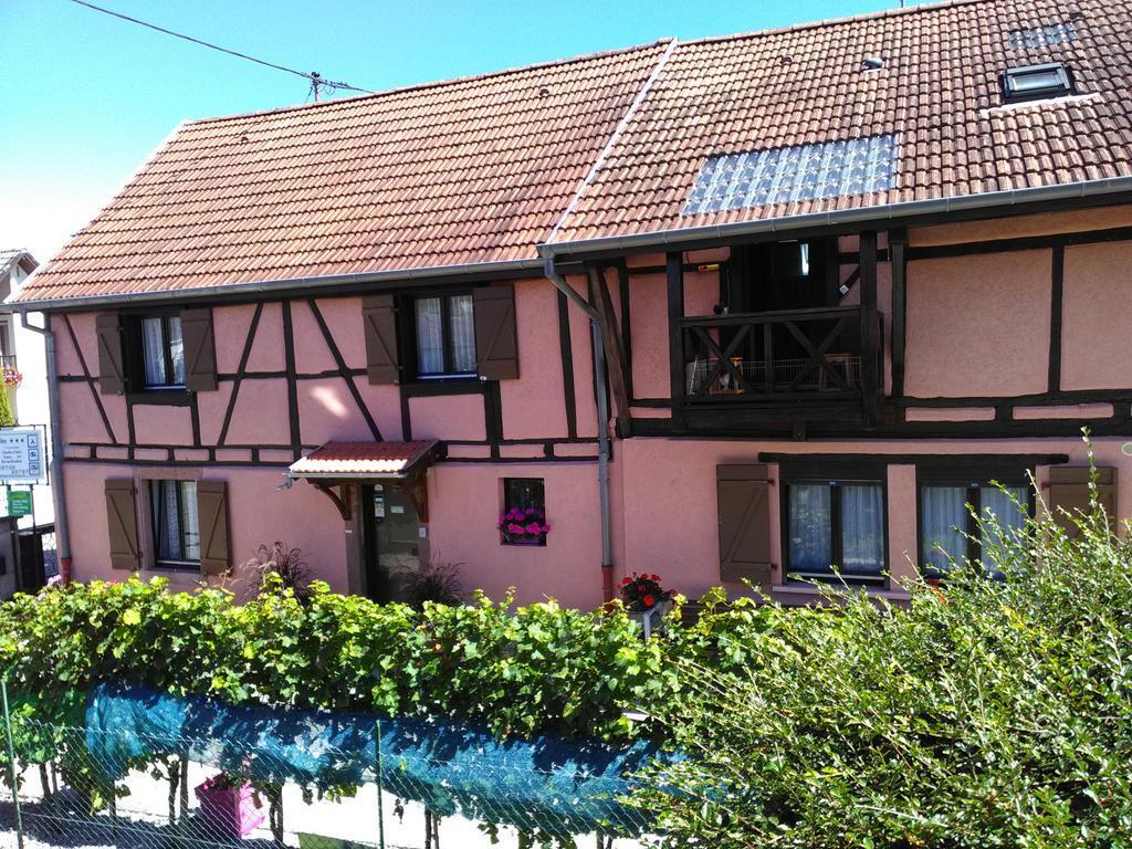 Gites & Camping On The Route Des Vins Bergheim Exteriör bild